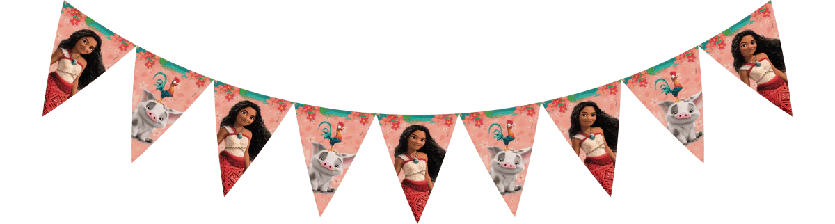 Vaiana vlaggenlijn (2,3m)