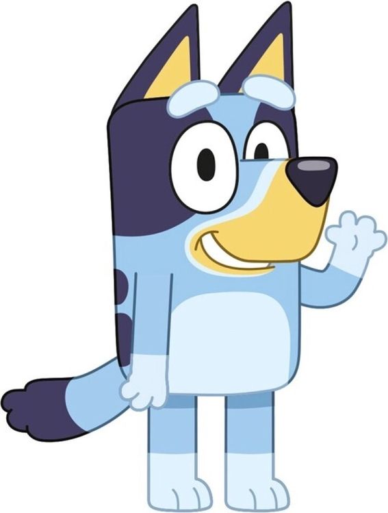 Bluey Feestartikelen