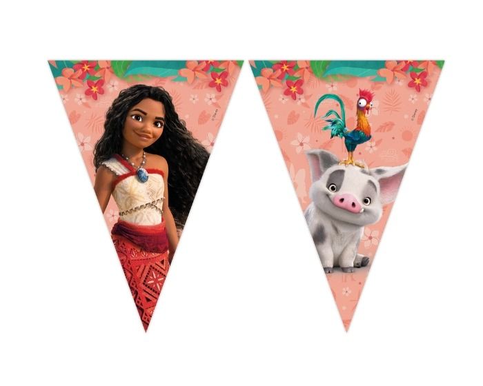 Vaiana vlaggenlijn (2,3m)