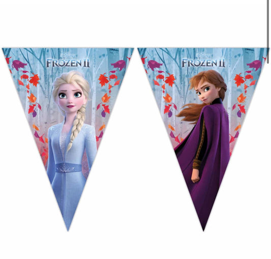 Frozen 2 vlaggenlijn