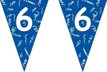 Vlaggenlijn blauw 6 jaar 5 mtr.