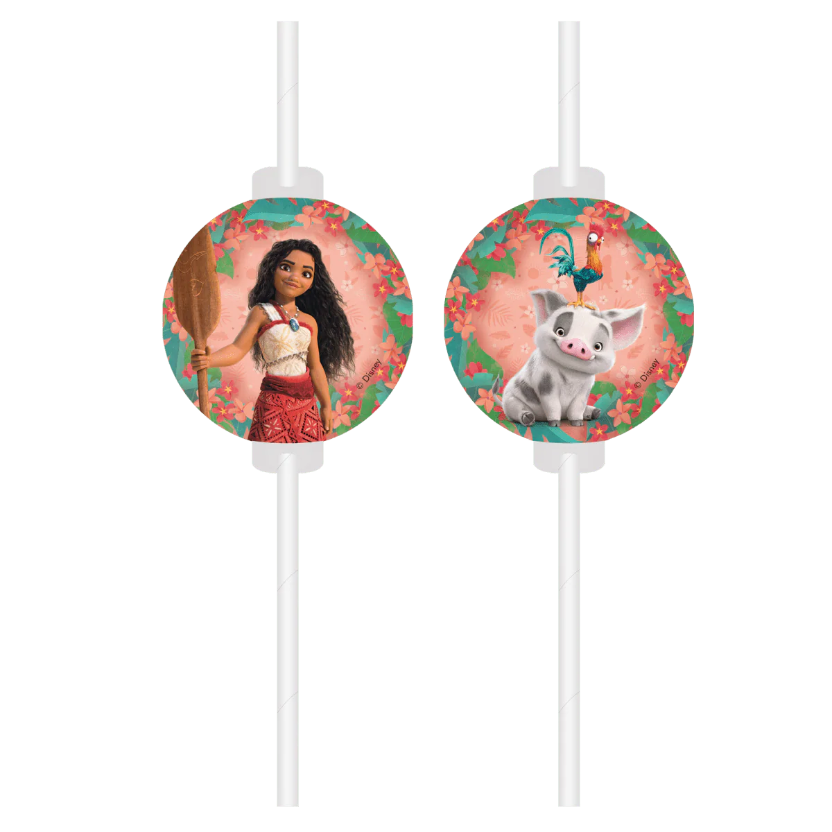 Vaiana rietjes (4 st.)