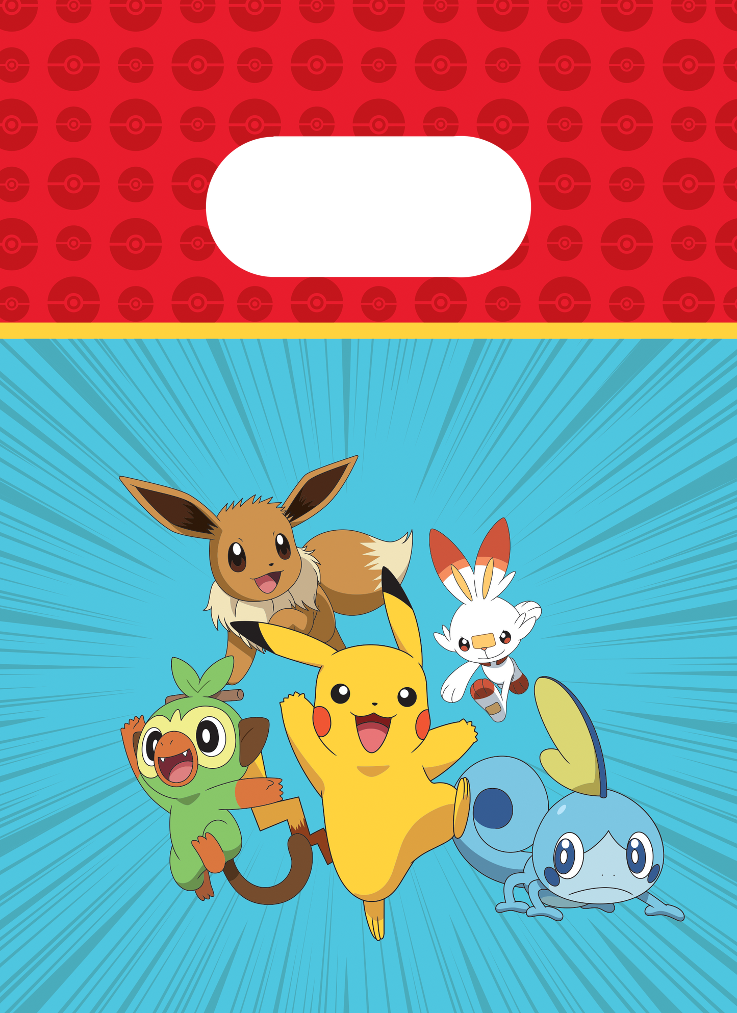 Pokémon uitdeelzakjes (4 stuks)